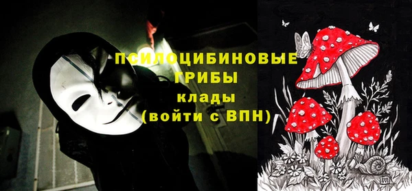 индика Абдулино