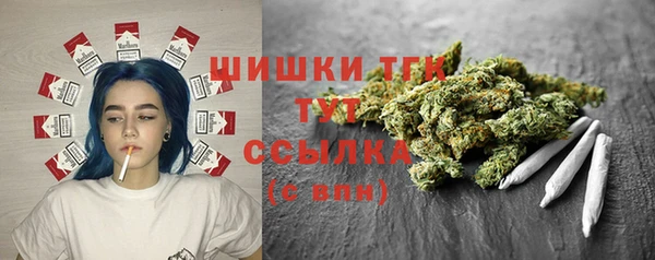 индика Абдулино