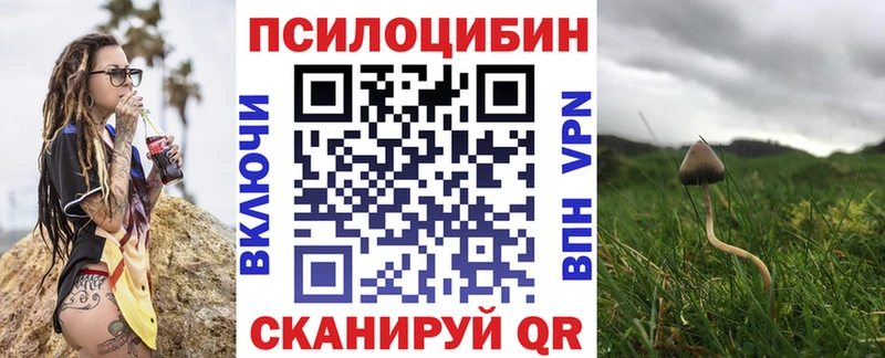 Галлюциногенные грибы MAGIC MUSHROOMS  Елизаветинская 